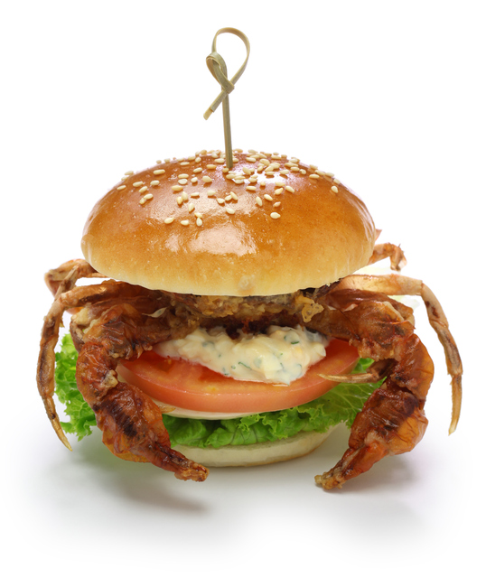 Spider sandwich 492990216 541x653