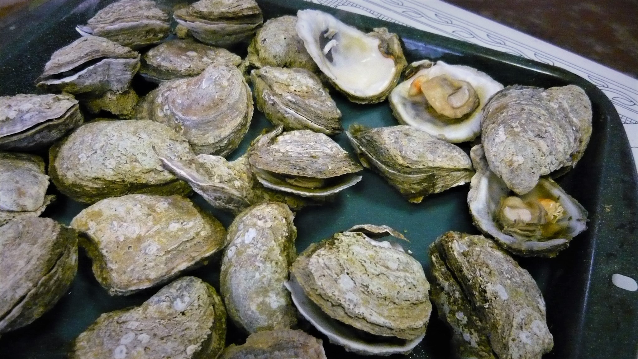 Oven Oyster Roast